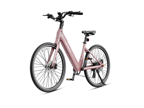 Heybike Venus 750W