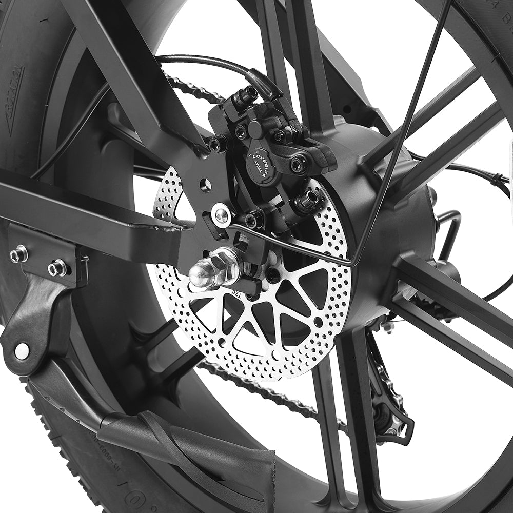 HappyRun Tank G60 750W (1500W Peak) Electric Fat Tire Bike, color and finish detail