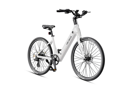 Heybike Venus 750W