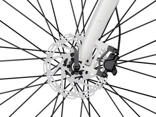 Heybike Venus 750W