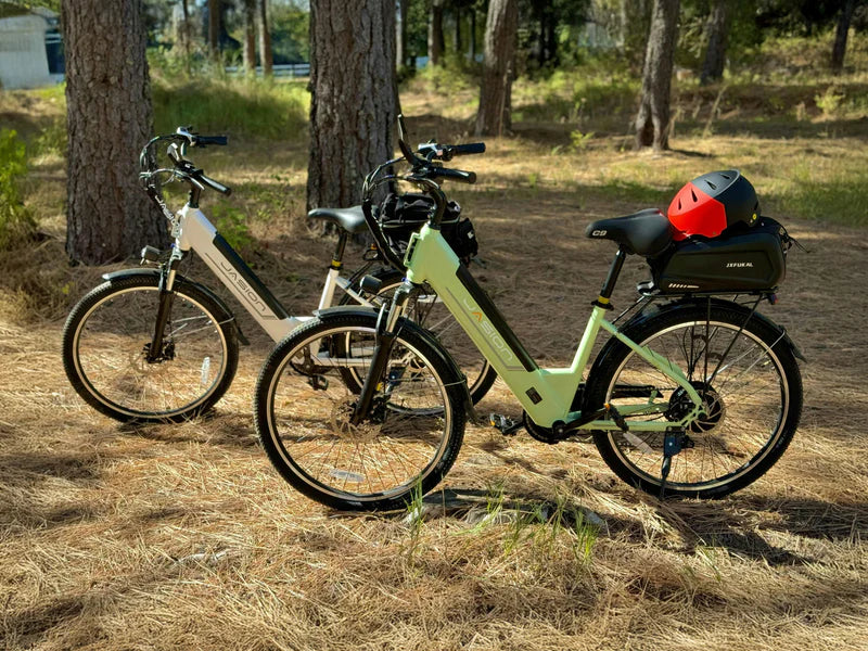 JasionBike EB5 Roamer ST Urban Style Step-Through Cruiser E-Bike