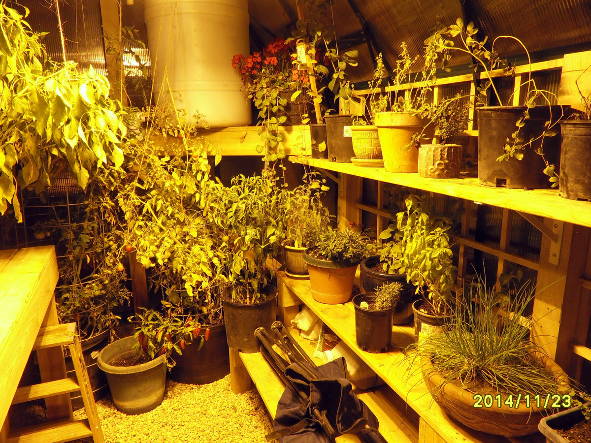 Grandio Elite greenhouse