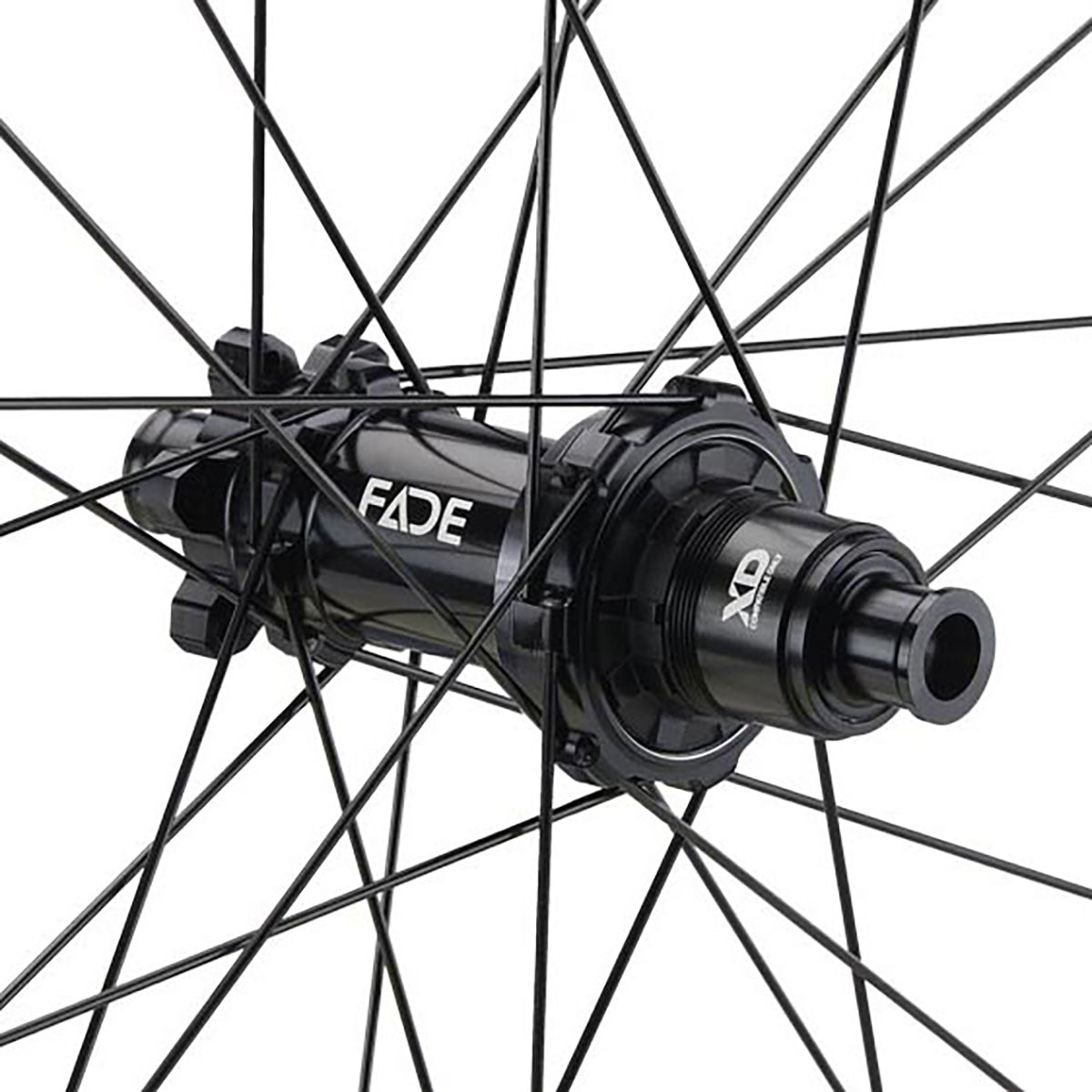 NEWMEN Rear Wheel - Phase 30 Strong 29" 28h FADE SP 6B - Enduro