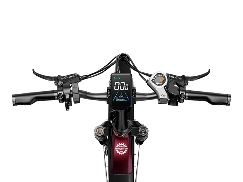 Heybike Ranger S 1000W
