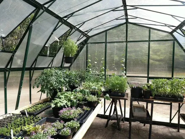 Grandio Summit greenhouse