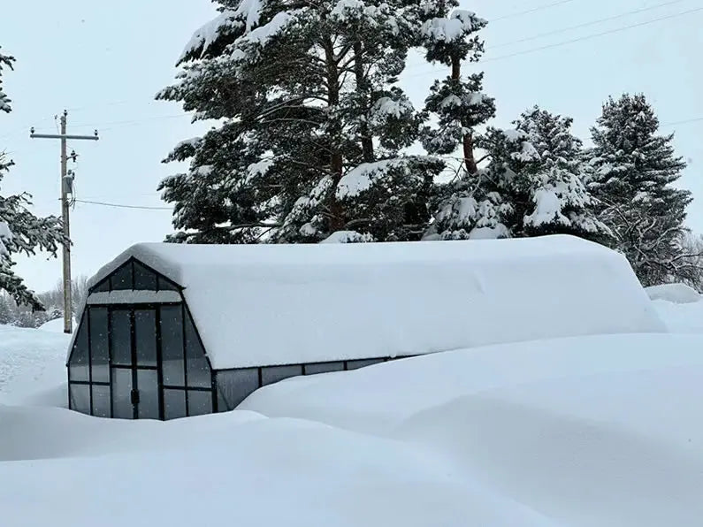 Grandio Summit greenhouse